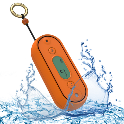 Qualität IP67 Handheld Tragbarer Kohlenmonoxid-Alarm CO-Gasdetektor für Kellergarage usine