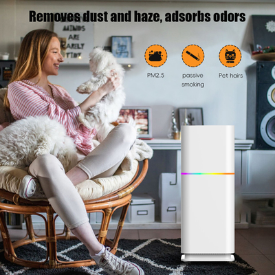 Good price ODM HEPA Raumstaubreiniger Wohnraumluftreiniger 240V für PM2.5 Online