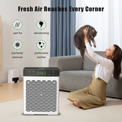 Good price OEM Indoor Dehumidifier und Luftreiniger Katzenmüll und Hunde Urin Deodorizer Online