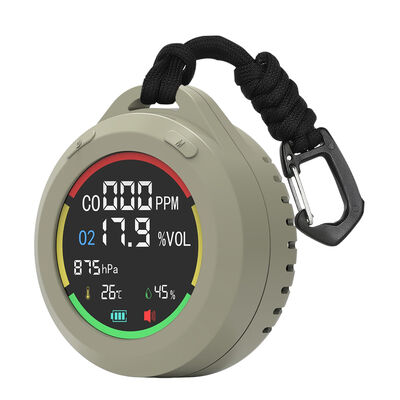 Ein guter Preis. PT08 Elektrochemischer Sensor CO Alarm - Tragbarer Ton-Licht-Alarm, 300-1100 hPa für Zuhause/Garage/Wohnmobil Online